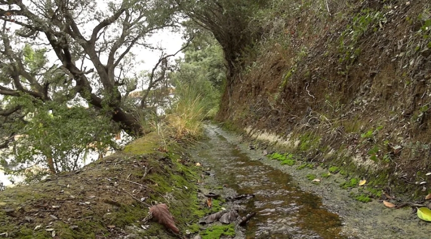 Coín, Malaga: El manantial que nace en el corazon del pueblo